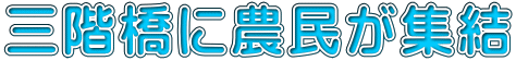 三階橋に農民が集結 