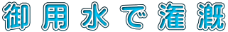 御用水で潅漑